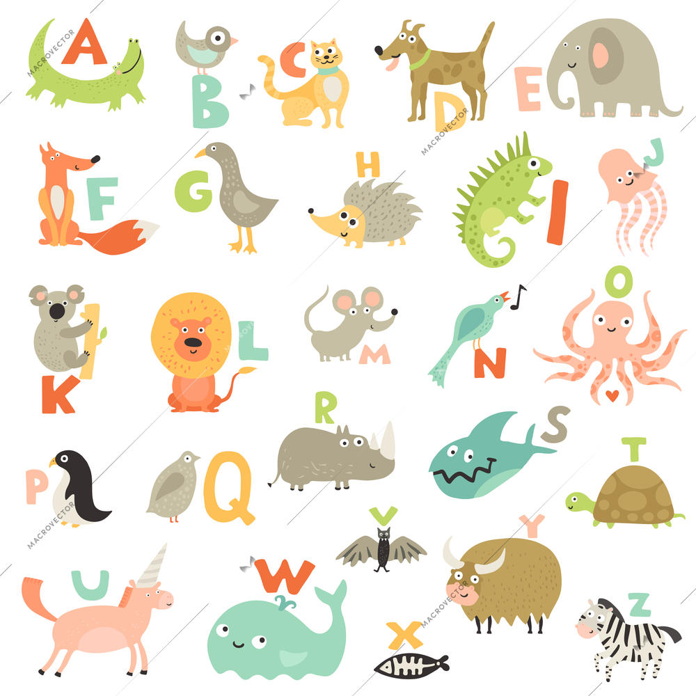 Complete children abc alphabet for babies toddlers preschoolers with funny animals pictures for each letter vector illustration