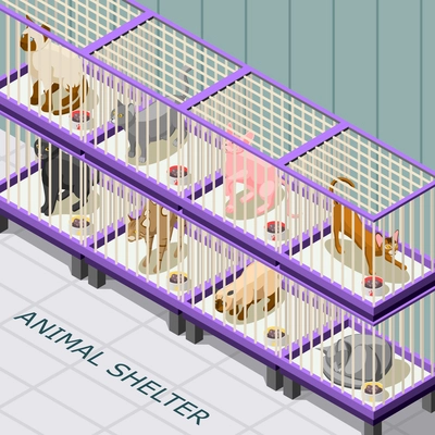 Cat shelter isometric background with animals on various breeds in cages with feed vector illustration