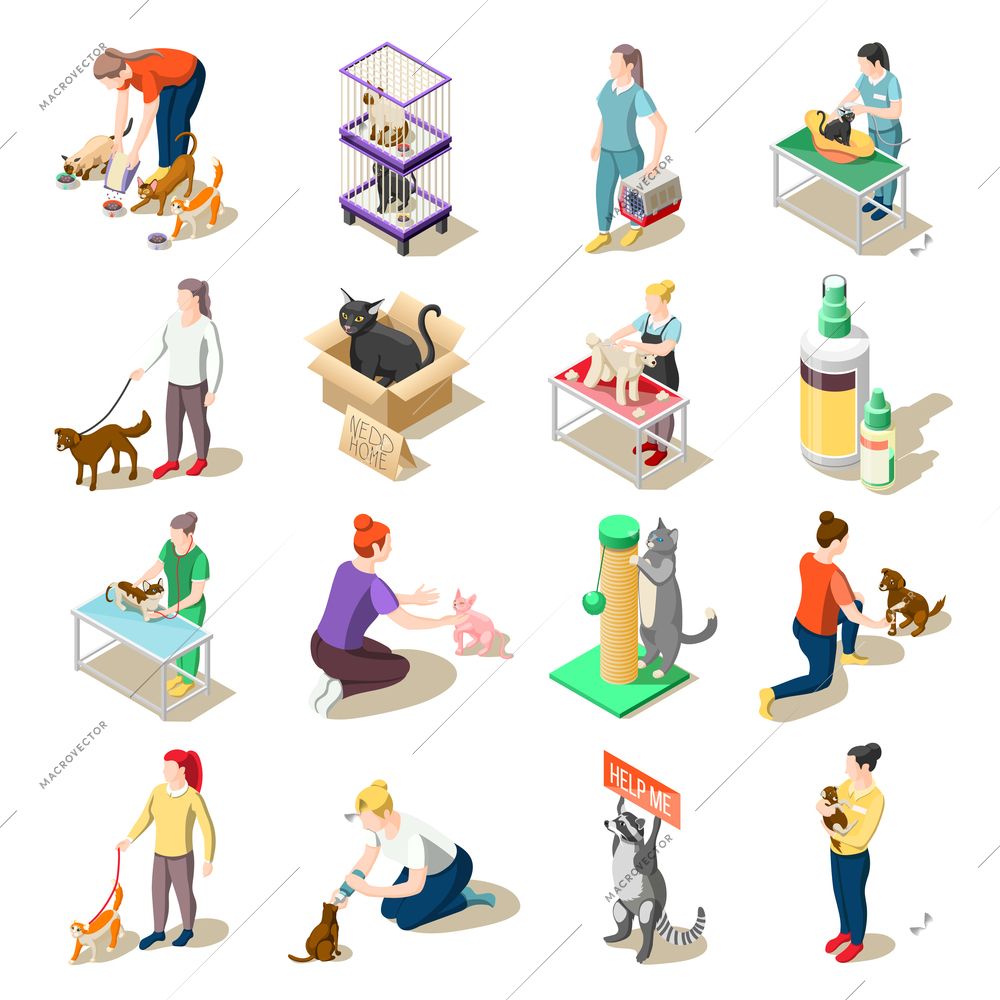 Set of isometric icons animal care volunteers, feeding, walking and grooming, veterinary inspection isolated vector illustration