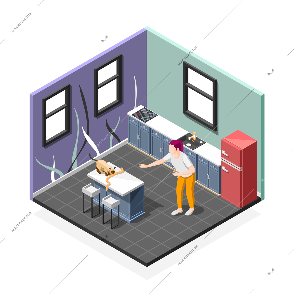 Pranks of cat isometric composition with worried woman and pet during eating sausages at kitchen vector illustration