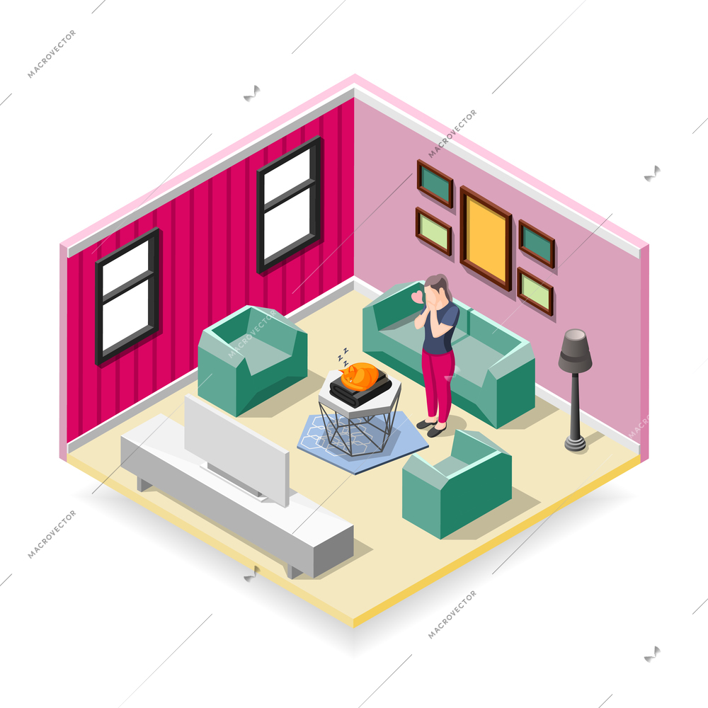 Touching sleeping red cat and affected woman in home interior isometric composition vector illustration