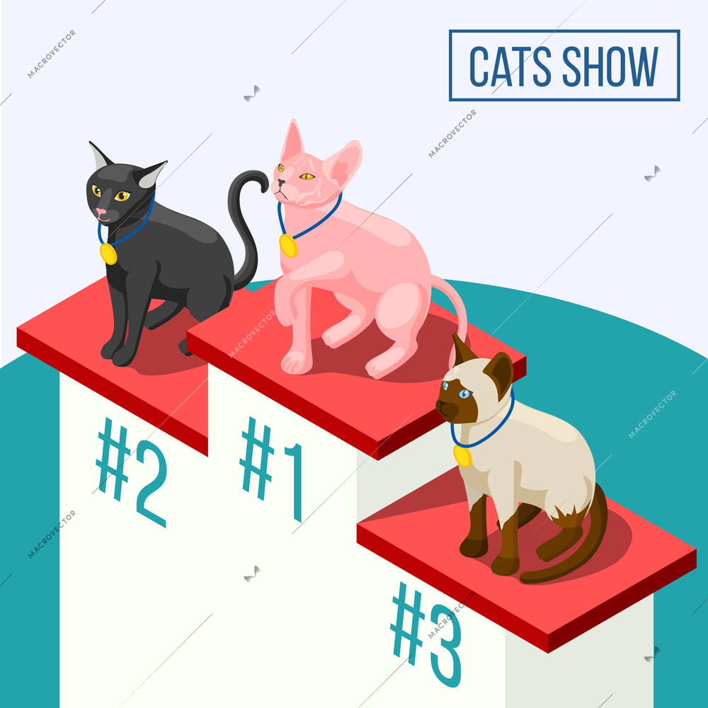 Cats show isometric composition including animals winners with medals on pedestal vector illustration