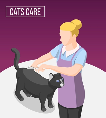 Cats care isometric background with woman in apron during grooming of domestic animal vector illustration