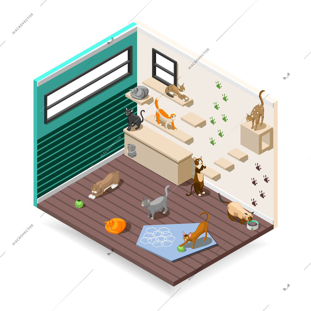 Home for purebred cats with various facilities for sleep, games, nutrition  isometric composition vector illustration