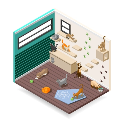 Home for purebred cats with various facilities for sleep, games, nutrition  isometric composition vector illustration