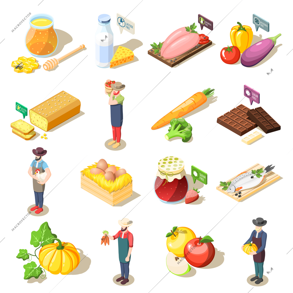 Set of isometric icons organic food including fruits vegetables, dairy products, eggs and honey isolated vector illustration
