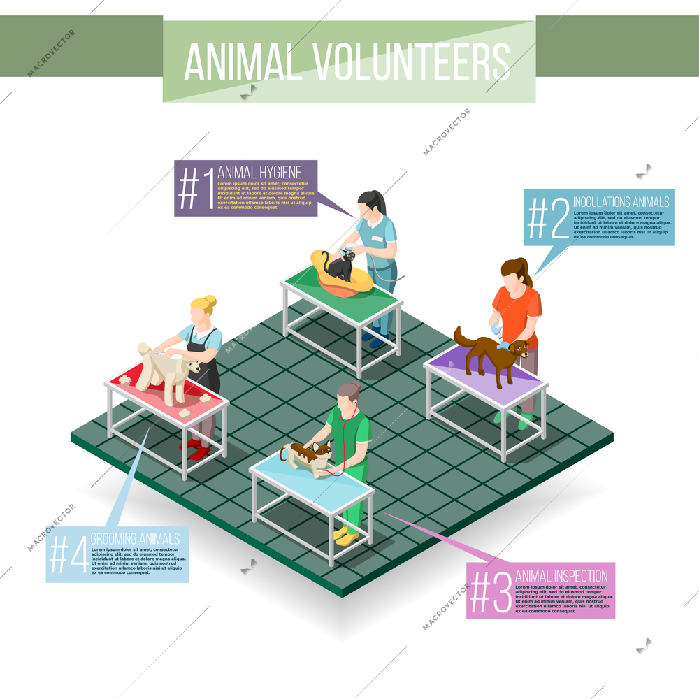 Women volunteers and animals during inoculations, grooming, veterinary inspection, hygiene procedures, isometric infographics vector illustration