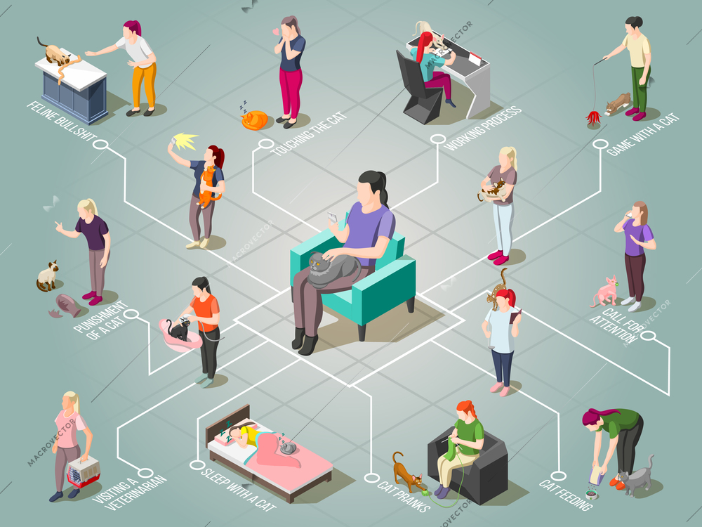 Ordinary life of man and his cat including pet care, pranks of animal isometric flowchart vector illustration