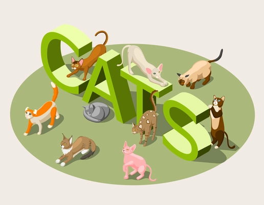 Purebred cats of various breeds and green typographic 3d lettering isometric background vector illustration