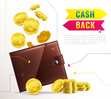 Colored realistic wallet poster with cash back headline and brown leather wallet with cash vector illustration