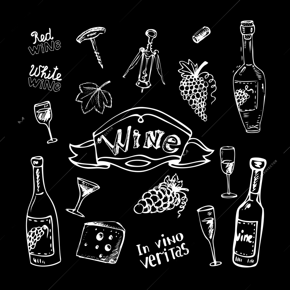 Wine set on chalkboard vintage vector illustration