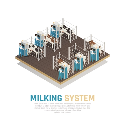 Dairy production milk factory isometric composition with editable text and view of semi-automatic milking operation vector illustration