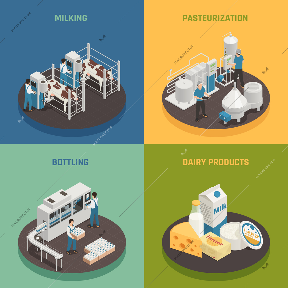 Dairy production milk factory isometric 2x2 design concept with compositions representing different stages of dairy production vector illustration