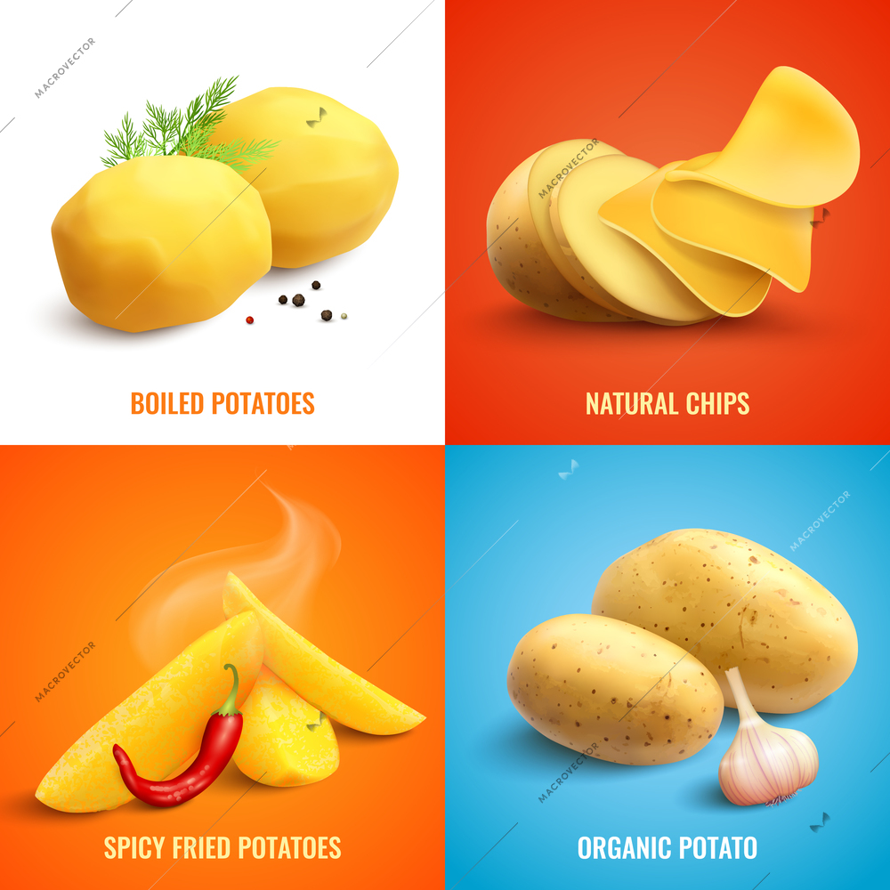 Vegan realistic 2x2 design concept set of organic and boiled potato spicy fried potatoes and natural chips vector illustration