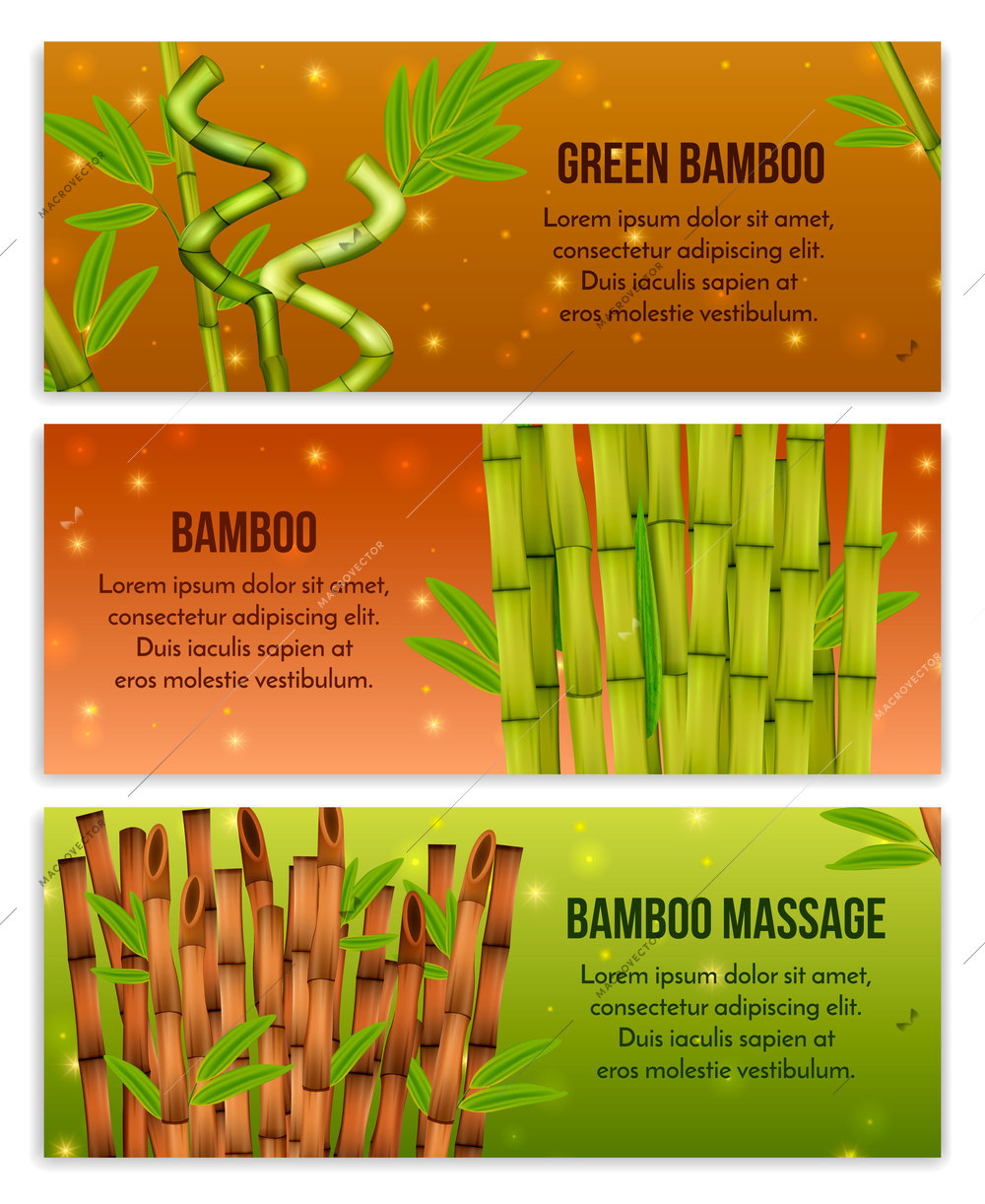 Green bamboo interior decorative elements and hollow canes massage tools 3 realistic horizontal banners isolated vector illustration