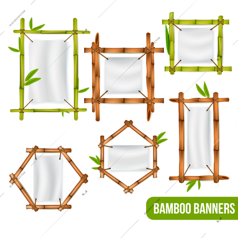 Green and dry bamboo decorative frames banners holders square rectangle and hexagon realistic set isolated vector illustration