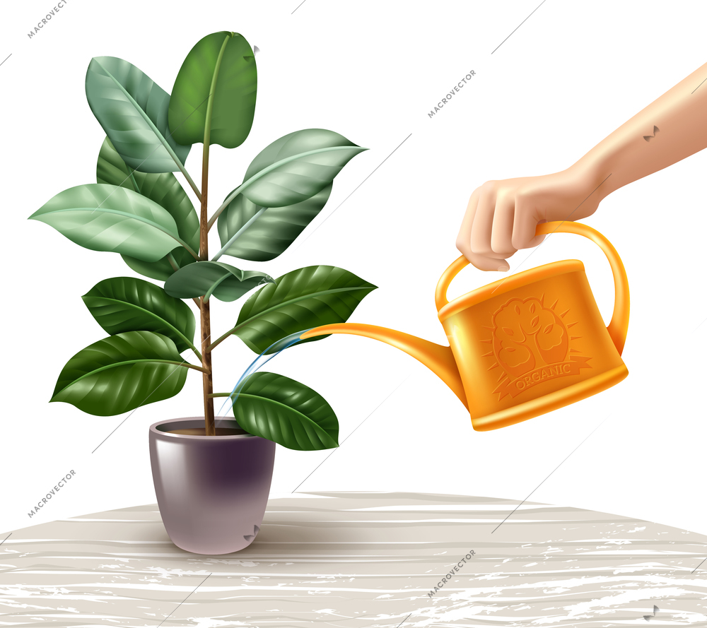 Hand with yellow watering can during irrigation of ficus standing on light table realistic vector illustration