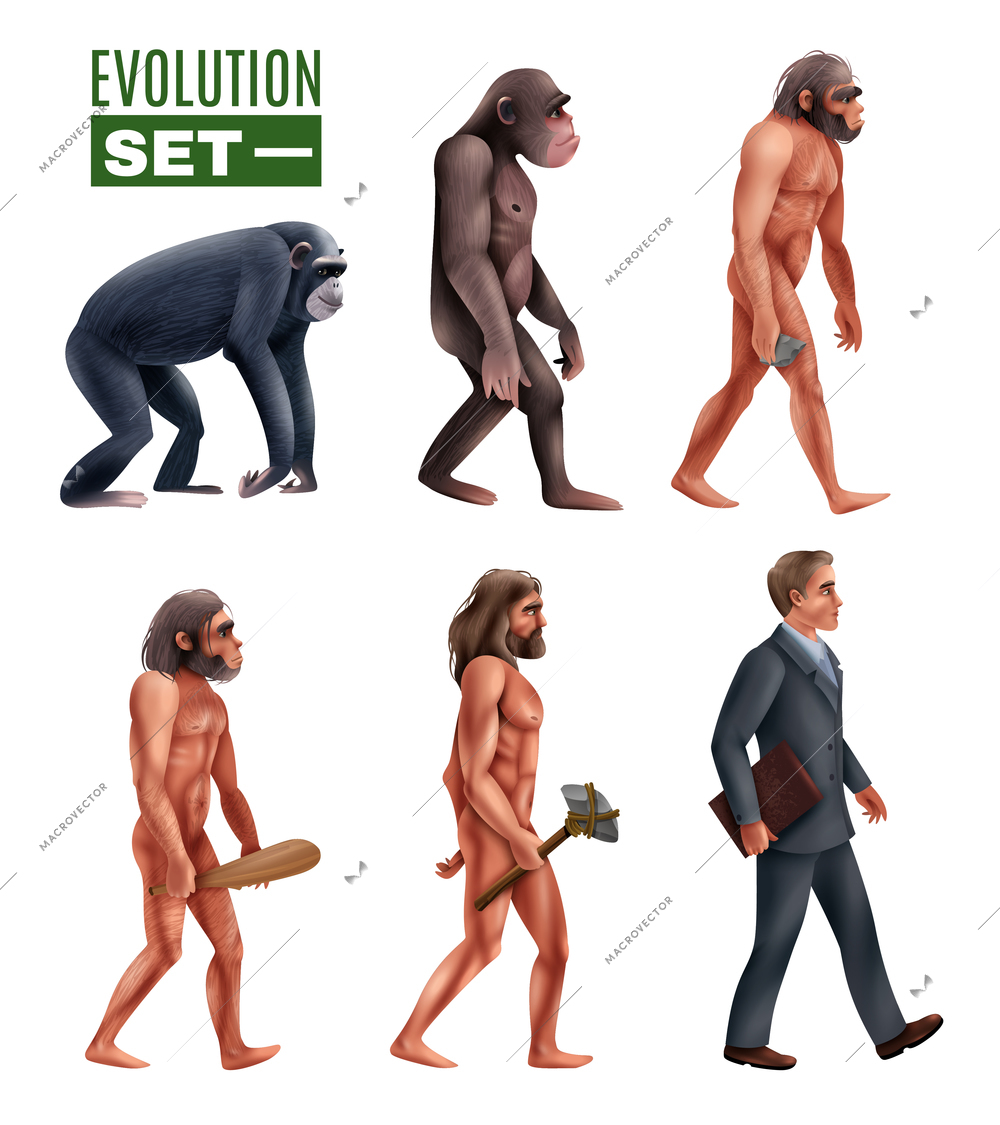Human development stages set of characters from primate to modern person isolated vector illustration