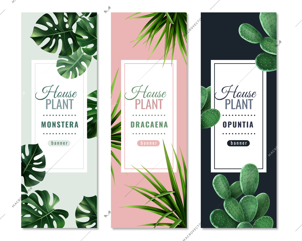 Realistic house plants vertical banners with monstera, dragon tree and prickly pear isolated vector illustration