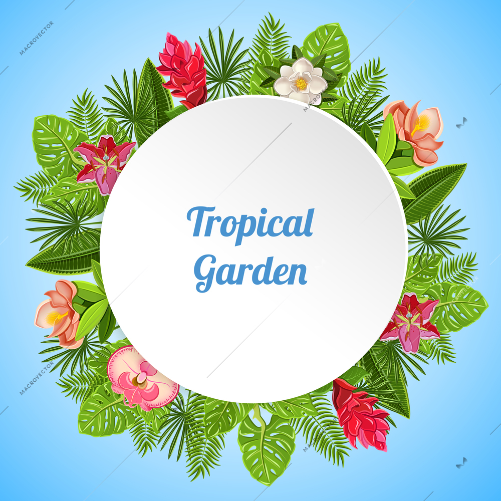 Tropical paradise background with composition of various plants leaves and flowers with white plate and text vector illustration