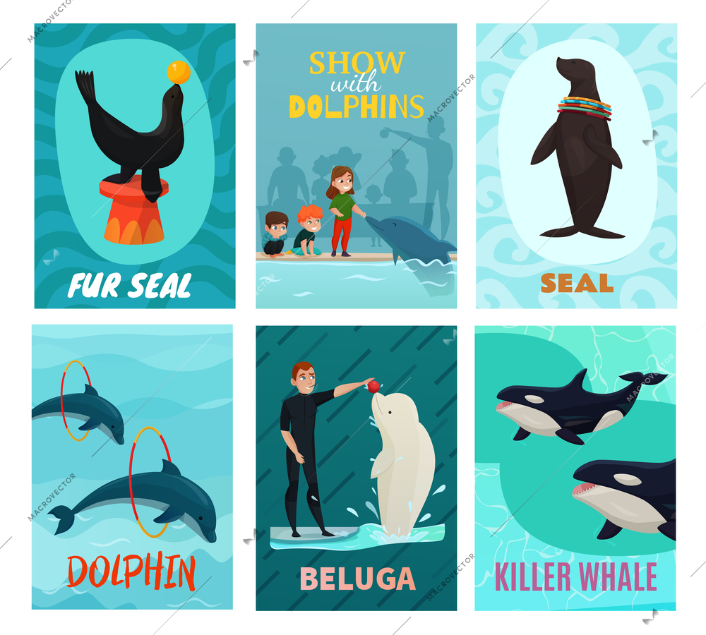 Dolphinarium show cards set with seal and beluga symbols flat isolated vector illustration