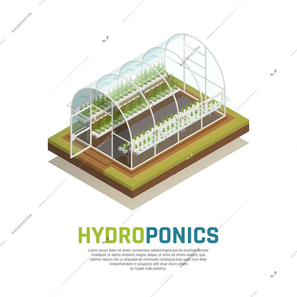 Greenhouse hydroponics isometric composition with image of conservatory hothouse with water tank gardening plants and text vector illustration