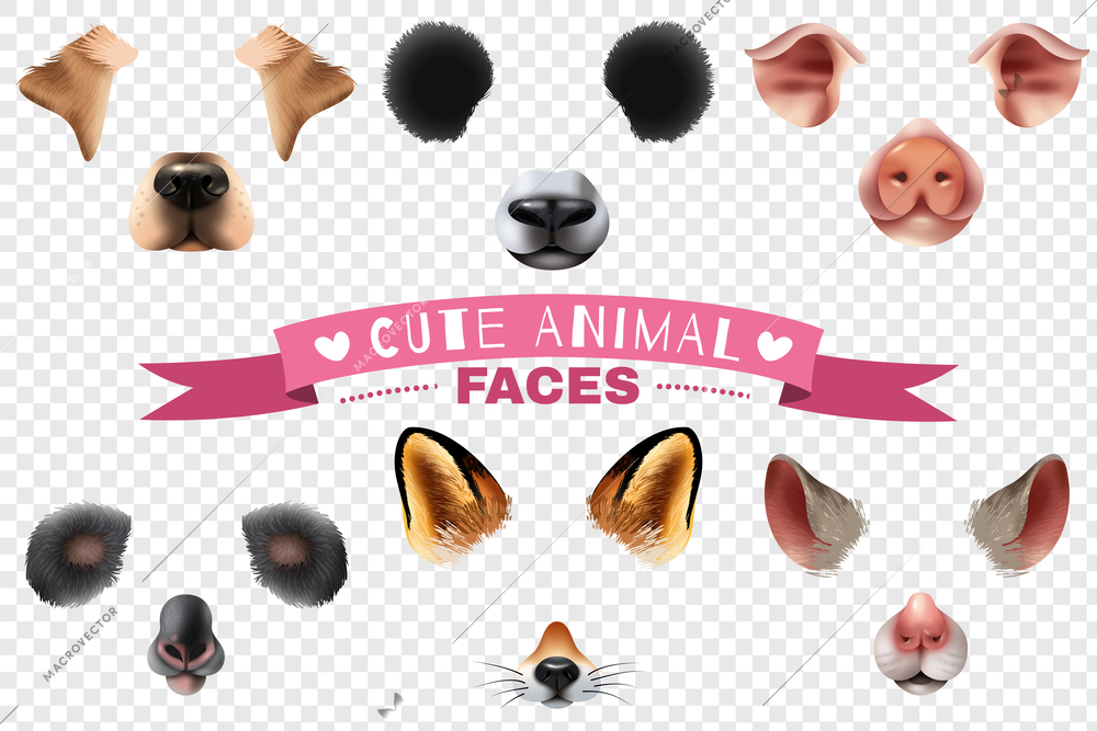 Colored and isolated cute animal faces transparent icon set with different elements of the animal s muzzle to create a cute effect vector illustration