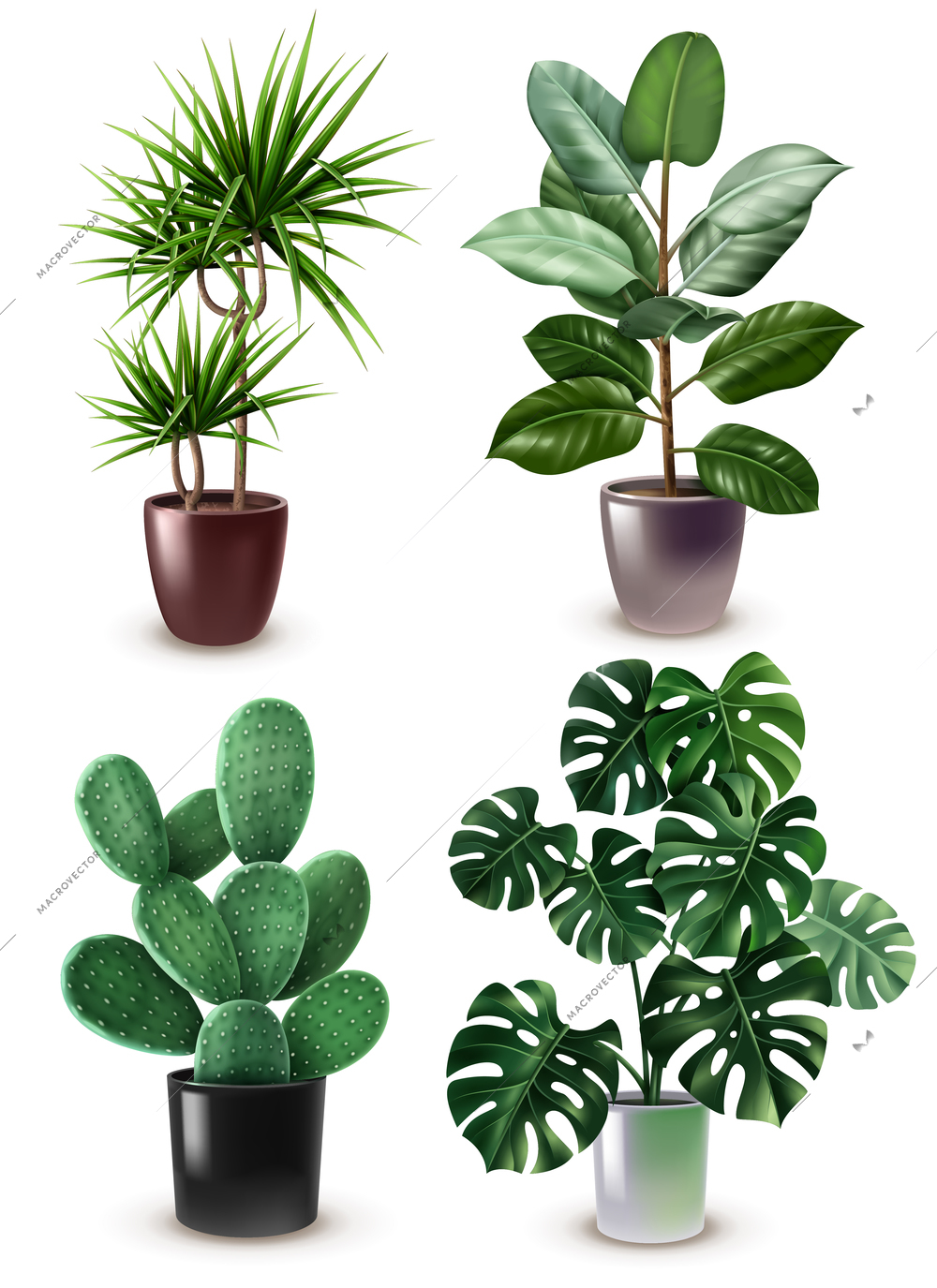 Isolated realistic houseplant icon set different types of plants in stylish pots vector illustration