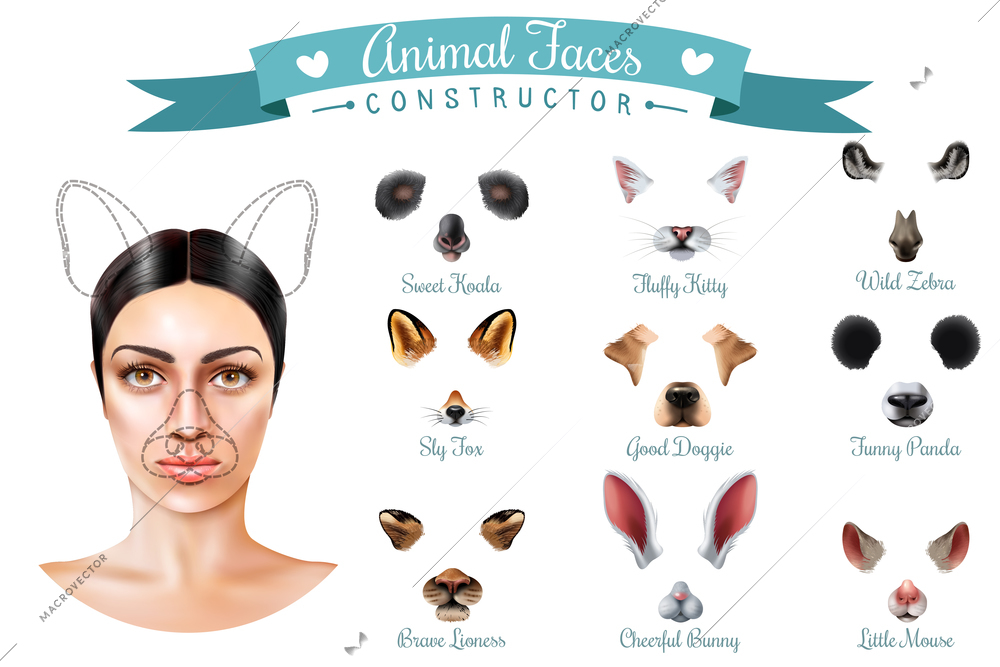 Isolated cute animal faces constructor icon set with sweet koala fluffy kitty wild zebra sly fox good doggie and others muzzles vector illustration