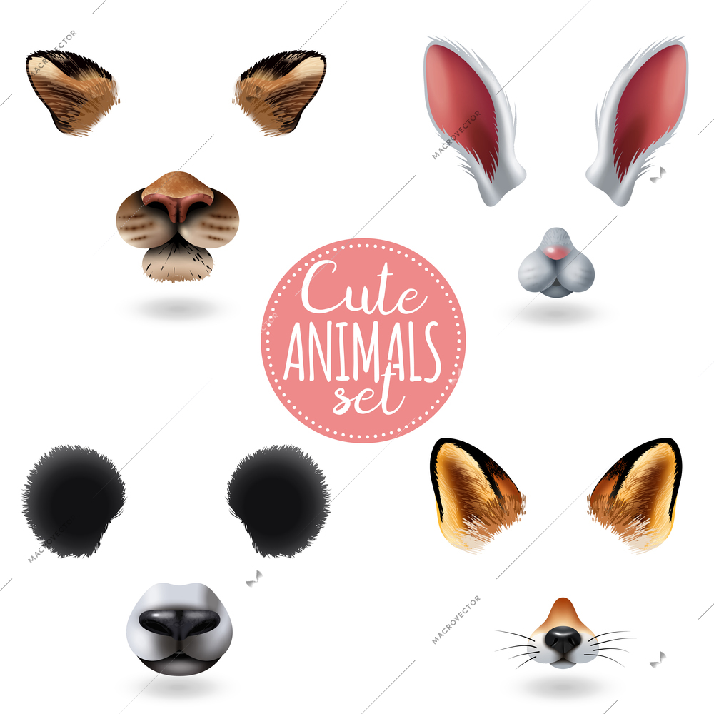 Isolated cute animal faces icon set with four different cartoon muzzles on white background vector illustration