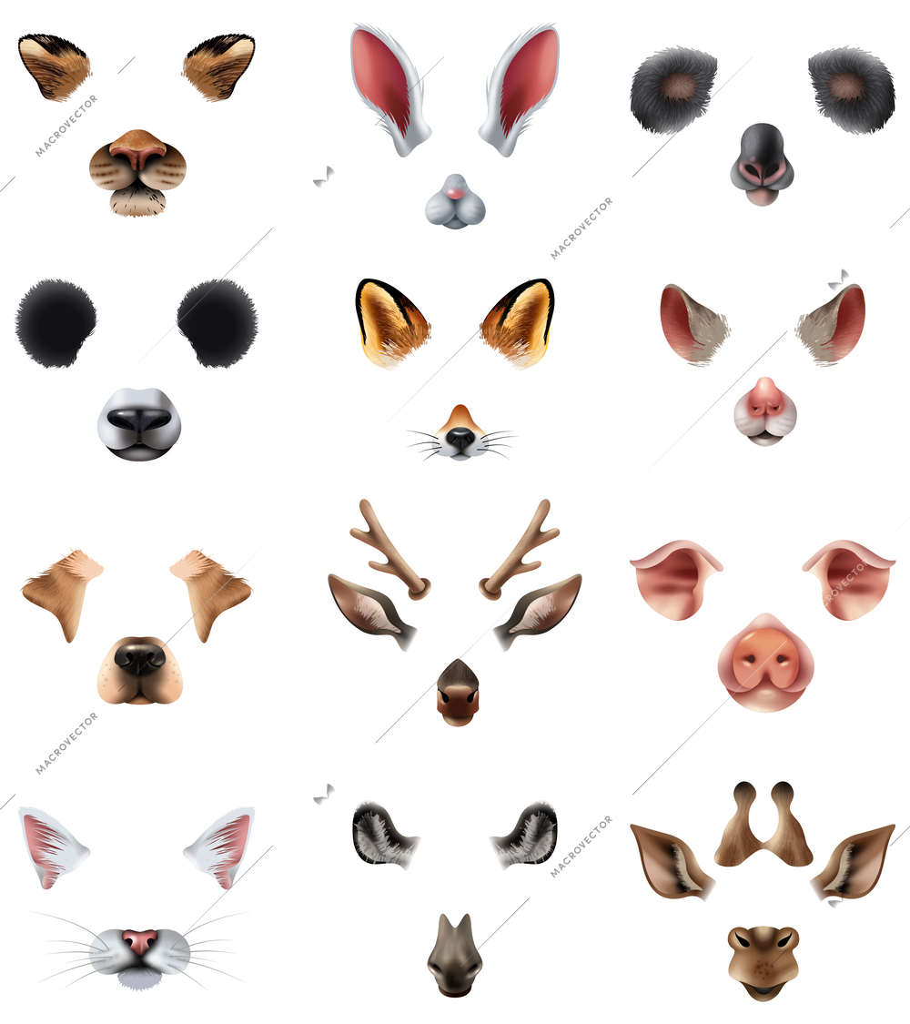 Colored cute animal masks video chat application effect filters icon set with ears of the nose and mouths vector illustration