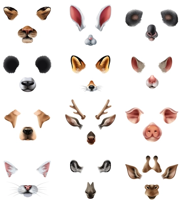 Colored cute animal masks video chat application effect filters icon set with ears of the nose and mouths vector illustration