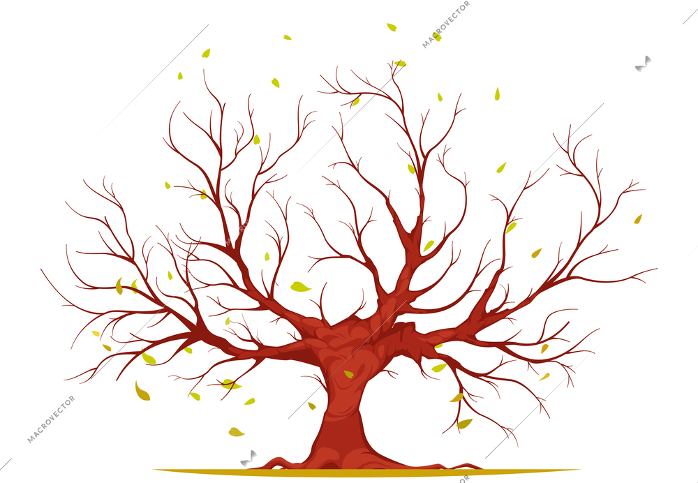 Huge tree with large trunk, bare branches and roots, falling leaves isolated on white background vector illustration