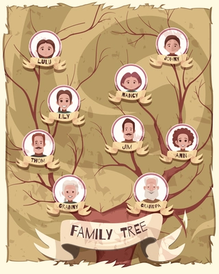 Family tree poster with pictures of grandparent, mature persons and young generation cartoon vector illustration