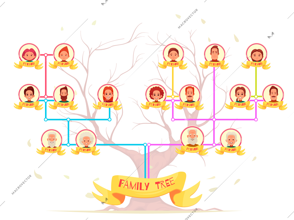 Family genealogy infographic avatars of relatives with color connection lines on tree background cartoon vector illustration