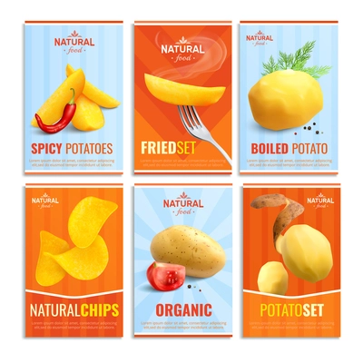 Composition of six cards with images of boiled potato fried spicy and natural chips  realistic vector illustration