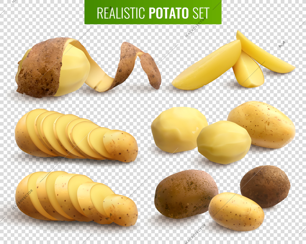 Raw potatoes set on transparent background with whole root crops and sliced pieces  realistic vector illustration