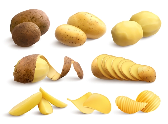 Raw and fried potato set of crude treated chopped and chips on white background realistic vector illustration