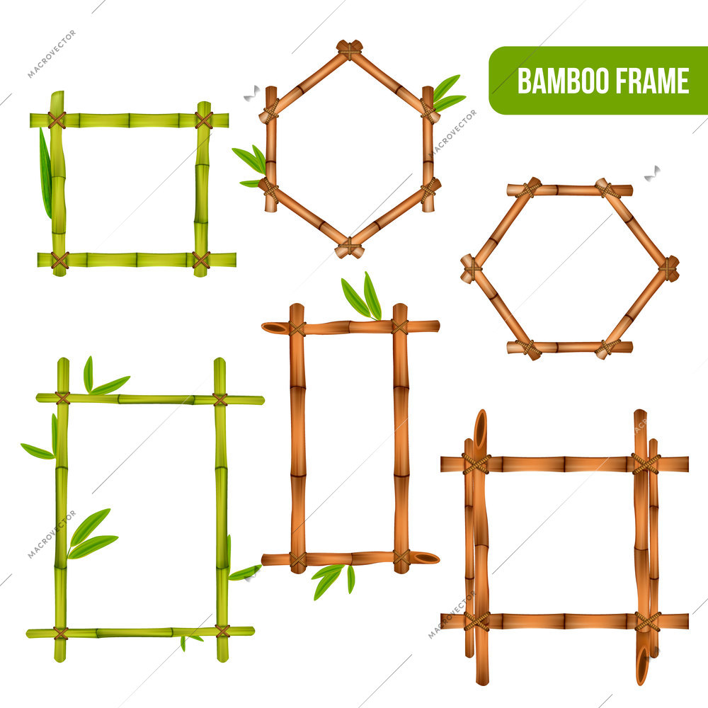Green and dry bamboo decorative interior elements square rectangle and hexagon frames realistic set isolated vector illustration