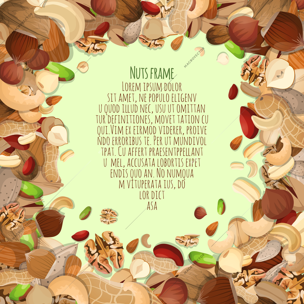 Nuts and seeds mix food decorative card frame vector illustration