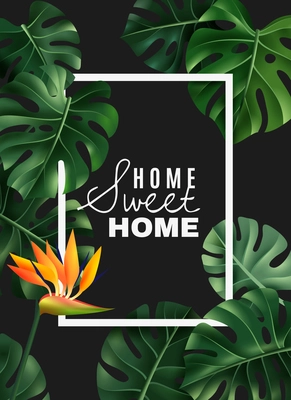 White rectangular frame with flower and leaves of realistic house plant monstera on dark background vector illustration