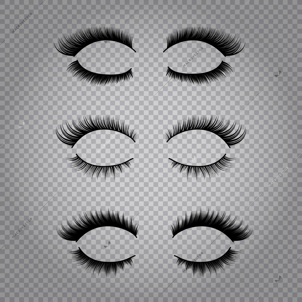 Set of realistic false lashes for upper and lower eye lids isolated on transparent background vector illustration