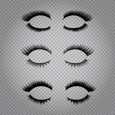 Set of realistic false lashes for upper and lower eye lids isolated on transparent background vector illustration