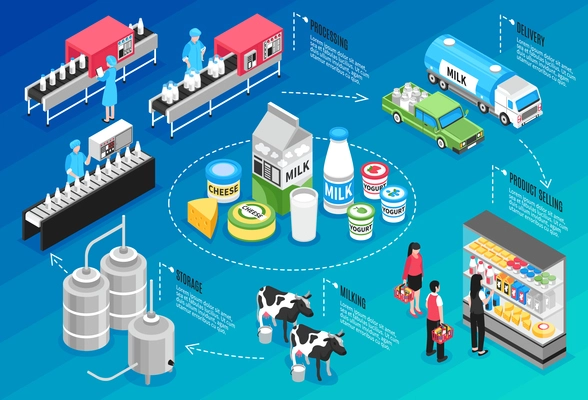 Production delivering and selling milk and cheese products isometric infographics on blue background 3d vector illustration