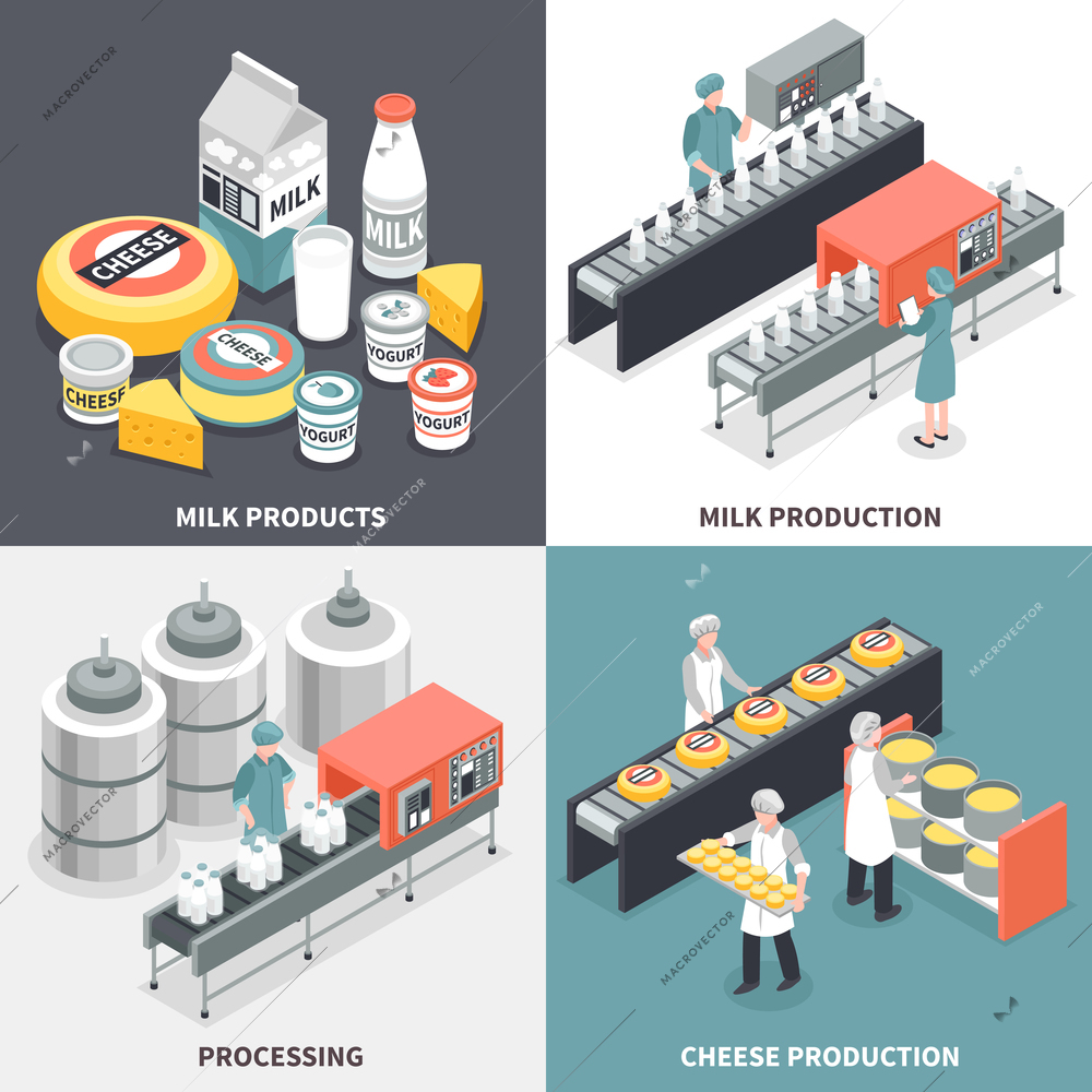 Process of milk and cheese production and factory workers 2x2 design concept isolated on colorful background 3d isometric vector illustration