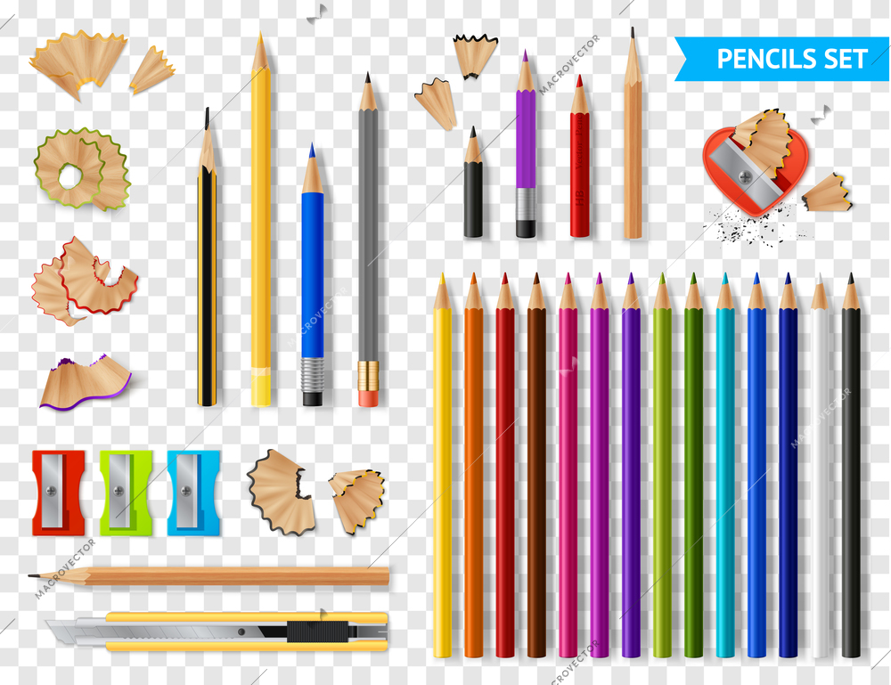 Multicolored set of wooden sharpened pencils on transparent background with supplies realistic vector illustration