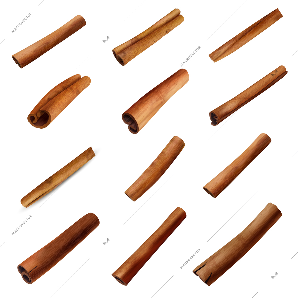 Set of 3d cinnamon sticks of brown color in roll shape isolated on white background vector illustration