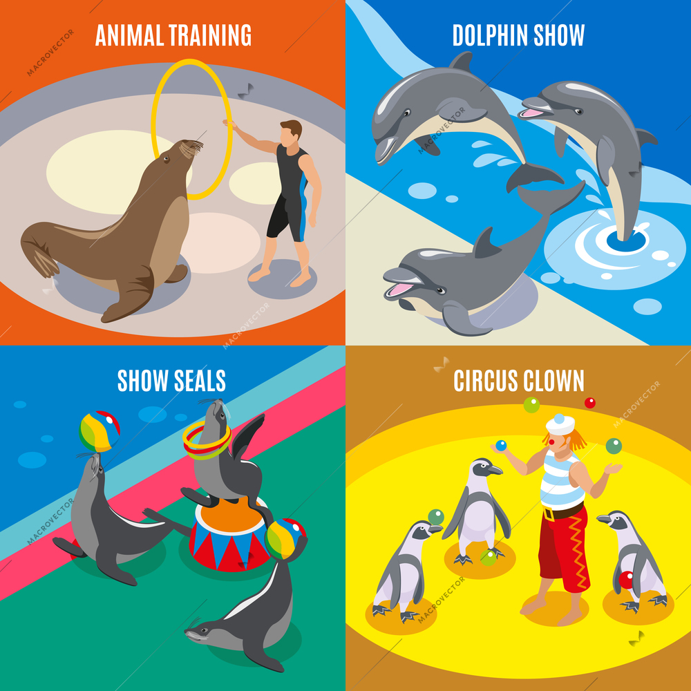 Sea circus 2x2 design concept set of animal training circus clown dolphin and seals show isometric compositions vector illustration