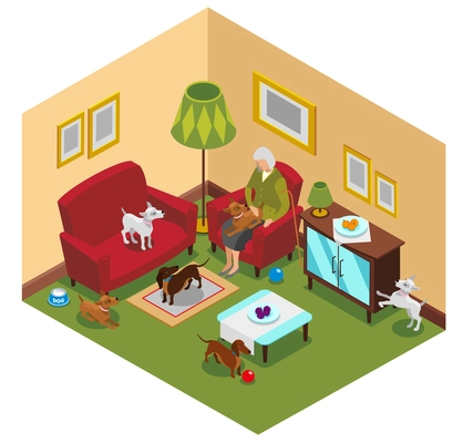 Ordinary life of old lady and small dogs, isometric composition with home interior, vector illustration