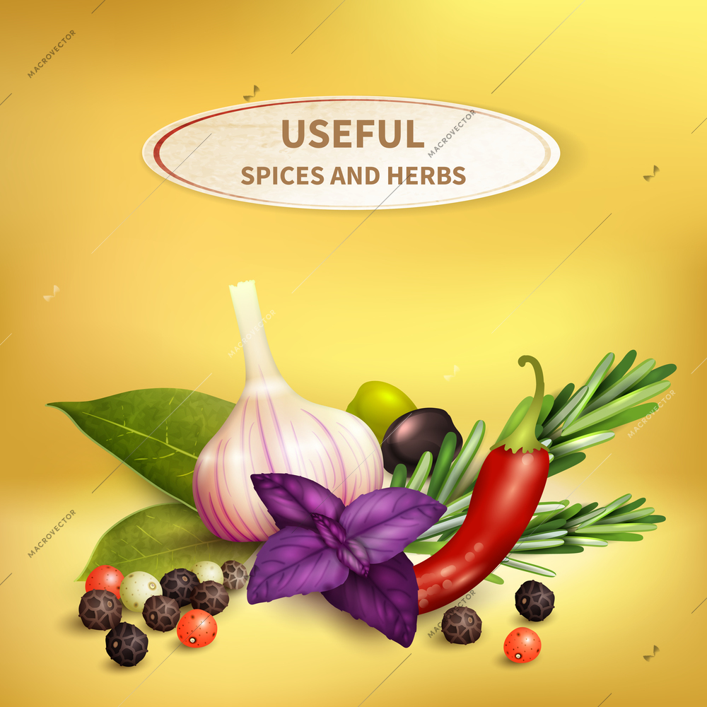 Colorful realistic background with useful herbs and spices such as garlic rosemary pepper bay leaf olives vector illustration